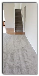 Saxony is a classical cut pile carpet