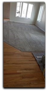 Cut Pile Carpet