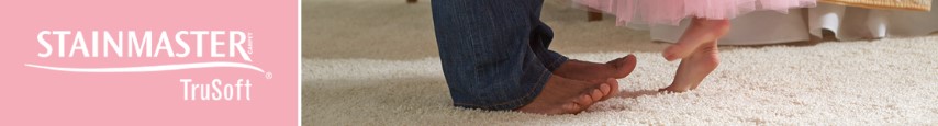 STAINMASTER® Active Family® carpet 