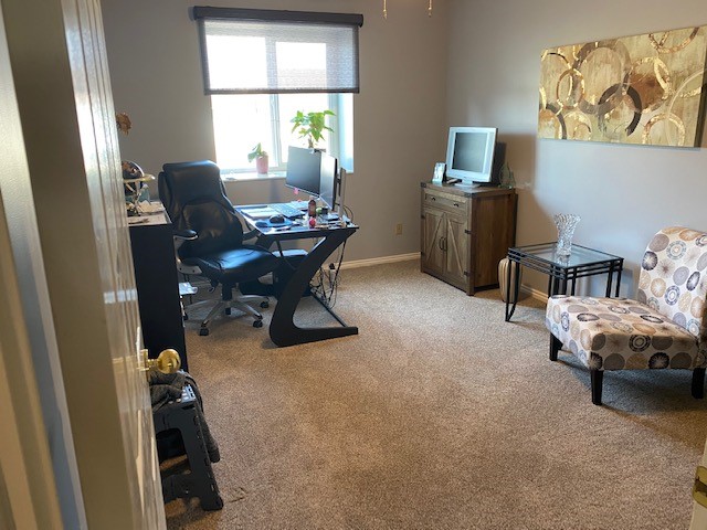 Home shop office carpet